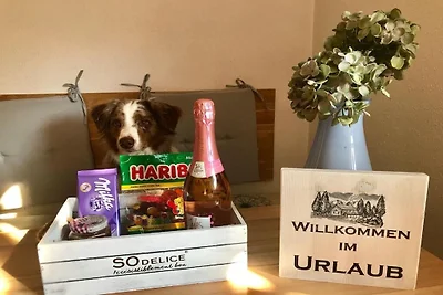 Vakantieappartement met 2 slaapkamers