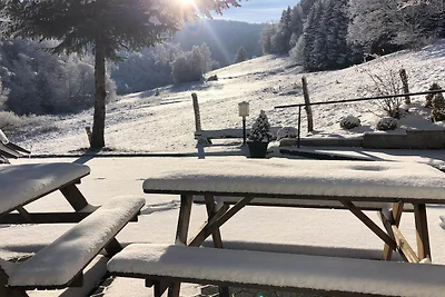 Gruppenvilla mit Waldzugang in Winterberg