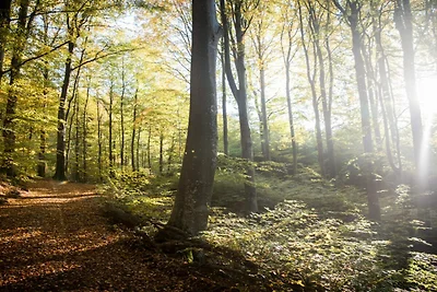 4 persoons vakantieparkhuis in ROLFSTORP
