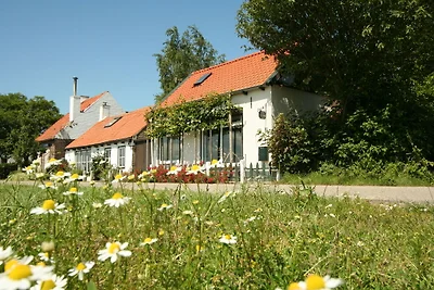 Ferienhaus in Schoondijke
