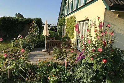 Ferienwohnung in Darß mit 1 Schlafzimmer