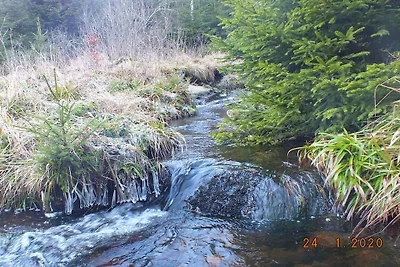 Ferienhaus Erholungsurlaub Oberharz am Brocken