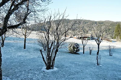 Appartamento a Kleines Wiesental, Sallneck