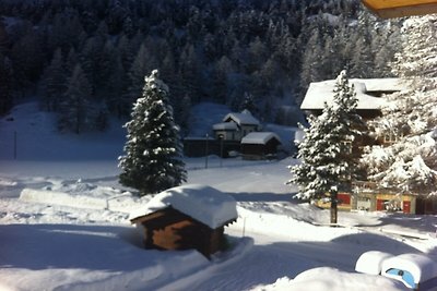 Chalet mit 2 Wohnungen von Wiesen umgeben.