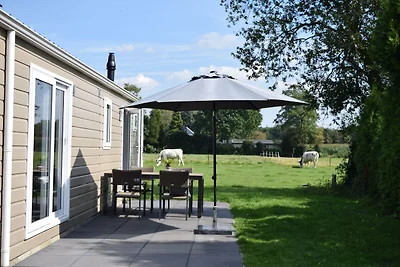 Chalet mit Terrasse in der Nähe der Veluwe