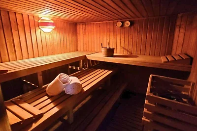 Winterberg pareltje met zwembad, sauna