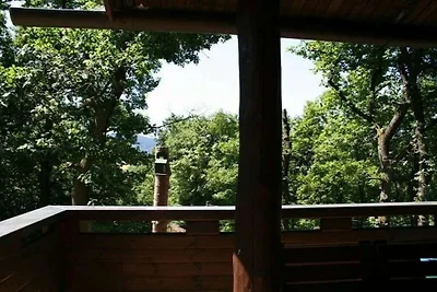 Besonderes Blockhaus am Waldrand