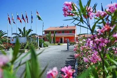 Appartamento a Vada vicino a ristoranti