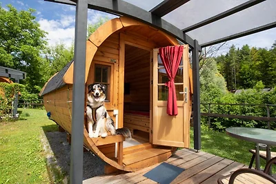 Nice studio with terrace from the Wörthersee