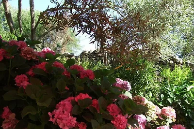 Casa Felicita Rifugio moderno