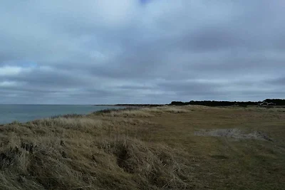 4 Personen Ferienhaus in Læsø-By Traum