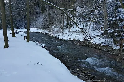 Ferienwohnung im Oberharz in Wildemann