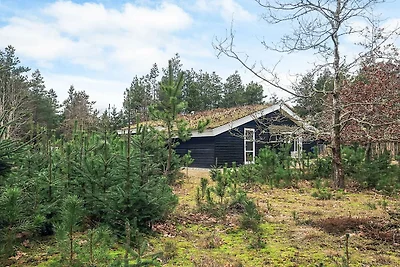 6 Personen Ferienhaus in Blokhus