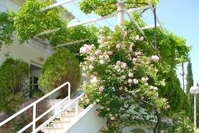 Mediterranea - One Bedroom Apartment with Sea...