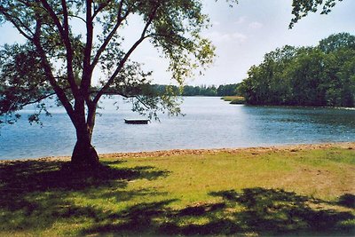 Ferienhaus mit Kaminofen am Dümmer See in...