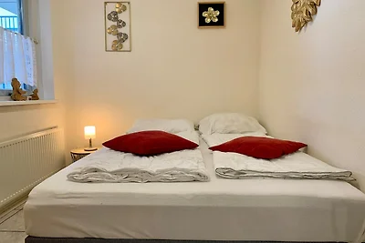 Modern appartement aan het strand in Petten