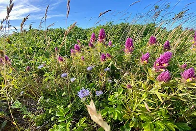 Ruhiger Strand-Ruckzug -- By Traum...