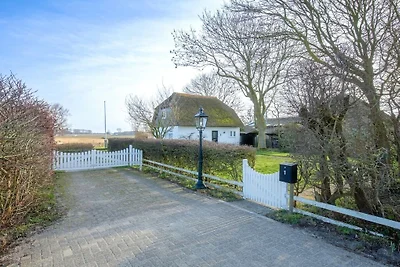 Vakantiehuis in Den Burg met zwembad