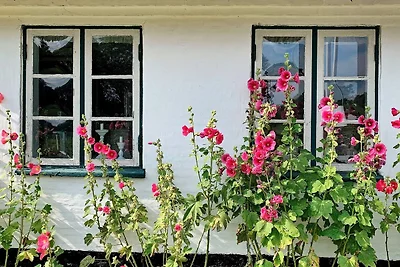 6 Personen Ferienhaus in Augustenborg