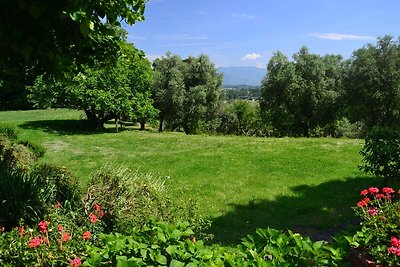 Charming and comfortable villa near Lucca wit...