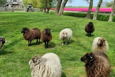 Landleben Komfortable Ferienresidenz