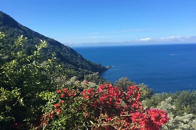 Clifftop Apartment Confortevole residenza per...