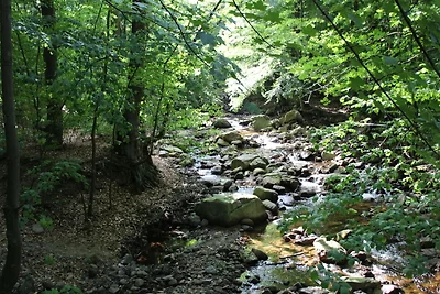 Klassisches Ferienhaus im Harz