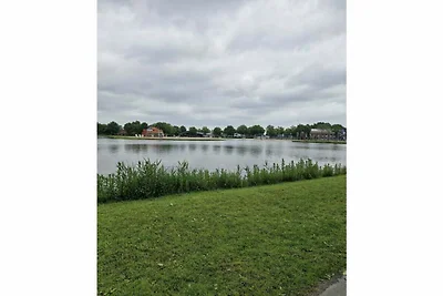 Perspectivas inciertas