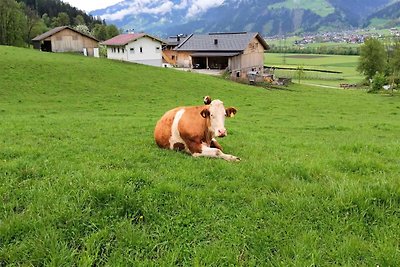 Appartement in Hart im Zillertal met uitzicht