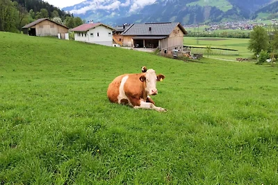 Appartamento in Tirolo con parcheggio