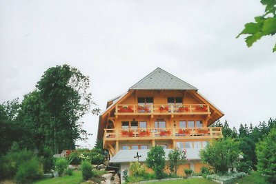 Appartement bij het skigebied in Urberg