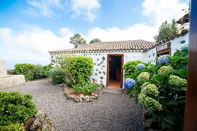 Ferienhaus inmitten des Waldes