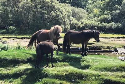 Hütte in Dartmoor mit Landschaftsblick