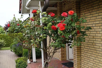 Ferienhaus mit 2 Schlafzimmer
