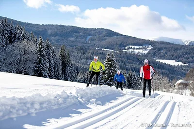 Schönes Chalet mit Balkonen