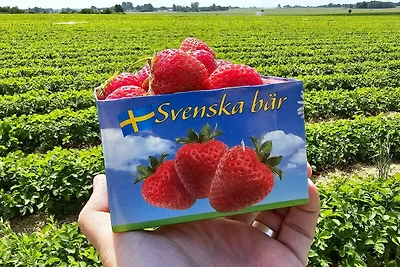 6 persone case ad BLENTARP-By Traum