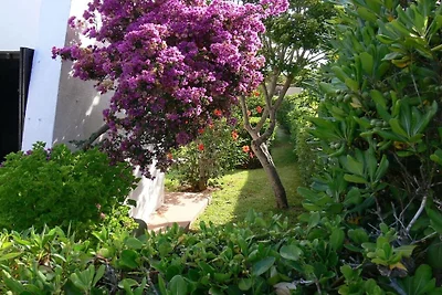 Erholung im Garten und am Strand