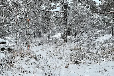 10 Personen Ferienhaus in Halden-By Traum