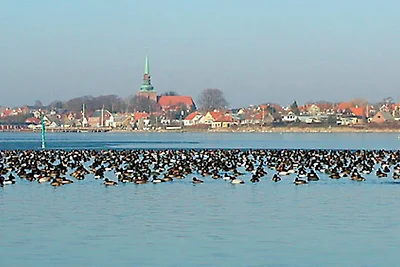 8 persoons vakantie huis in Nysted-By Traum