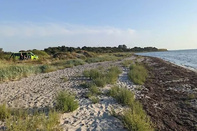 Kustenparadies in Stoense-By Traum