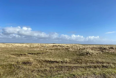 6 Personen Ferienhaus in Vejers Strand