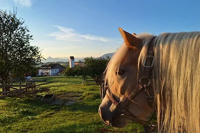 Pension Alpenblick Ferienwohnung Obadob
