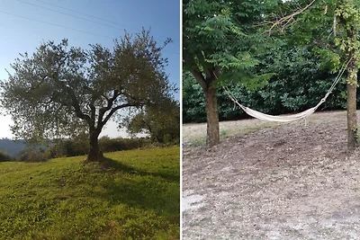 Maestosa villa a Borgonuovo con piscina