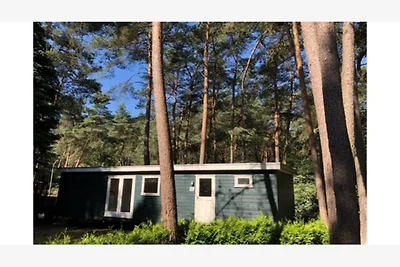 Ruhiges Kiefernwald-Chalet in Antwerpen...