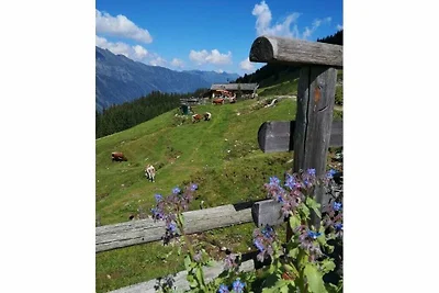 Piacevole casa vacanze vicino al centro
