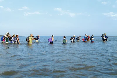 Dintorni (estate) (1-5 km) Dintorni (estate) (1-5 km)