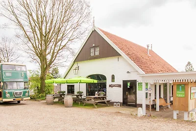 Chalet accogliente con camino a gas a Twente