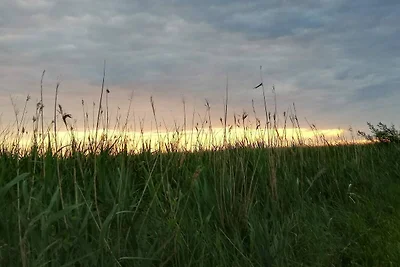 Moderne Kustenrefugium -- By Traum...