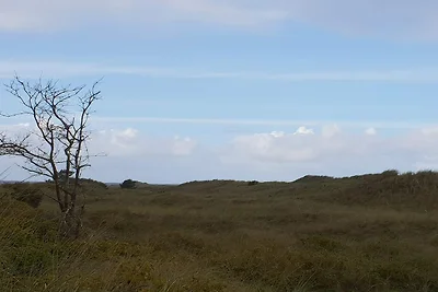 8 Personen Ferienhaus in Jerup