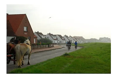 "Seestern", im Haus Erholung